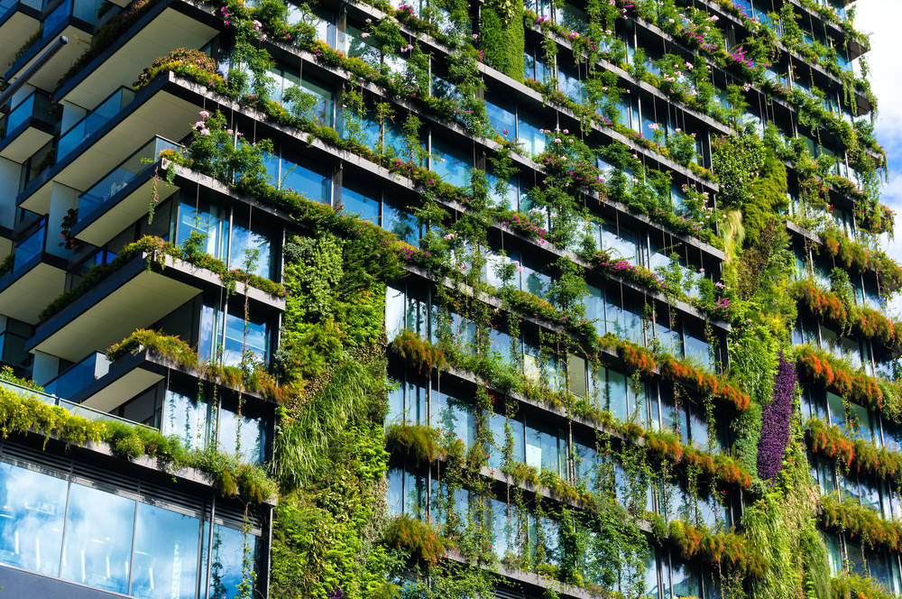 La importancia de las zonas verdes en las ciudades